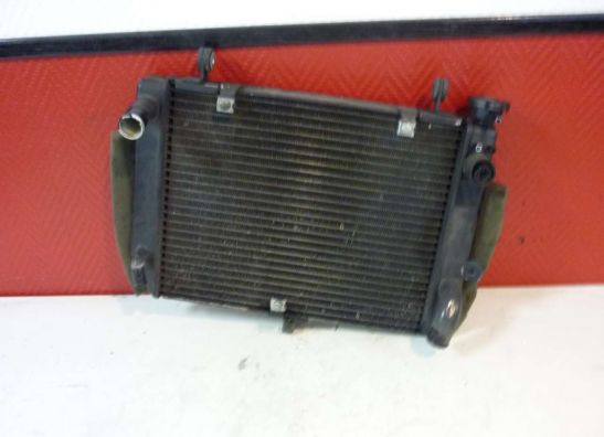 Radiateur Yamaha YZF R6