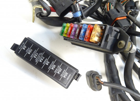 Kabelbaum Ducati monster 600