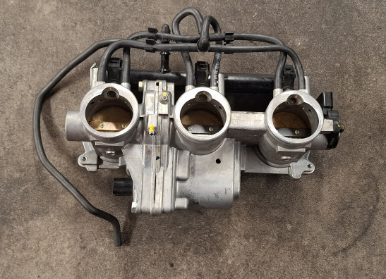 Einspritzanlage Triumph Speed triple RS