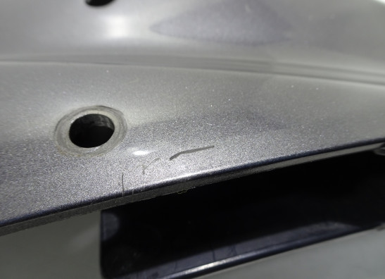 Kanzel links Suzuki XF 650 Freewind