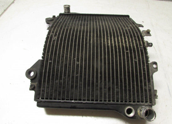 Kuhler Kawasaki ZZR 1100