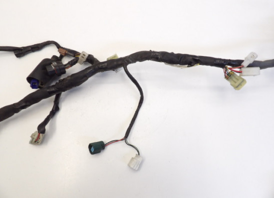 Kabelboom Yamaha FZ6