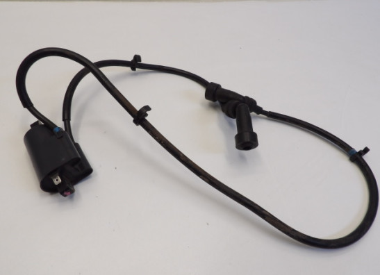Bobine Yamaha XJ 900 S Diversion