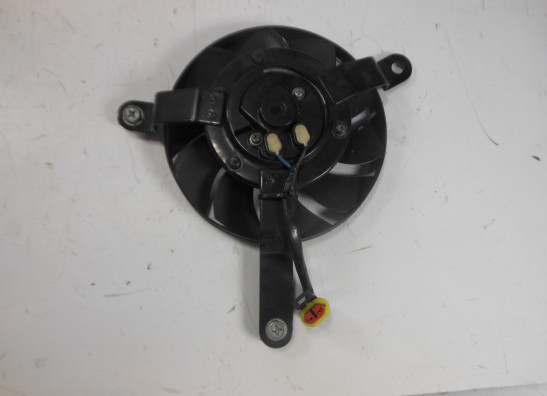 Fan Ducati 1098  1198