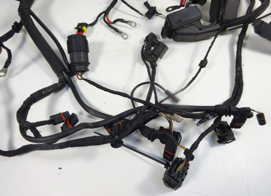 Kabelbaum BMW F 800 S - ST