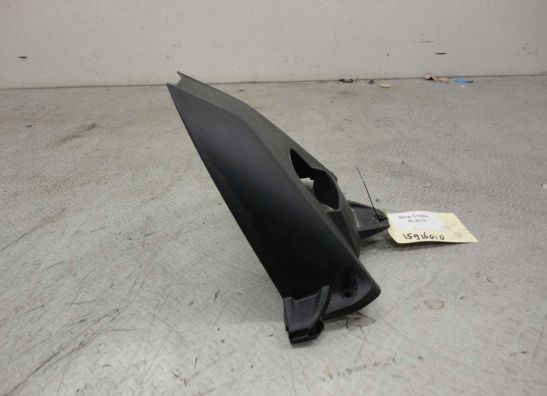 Achterspatbord BMW S 1000 R