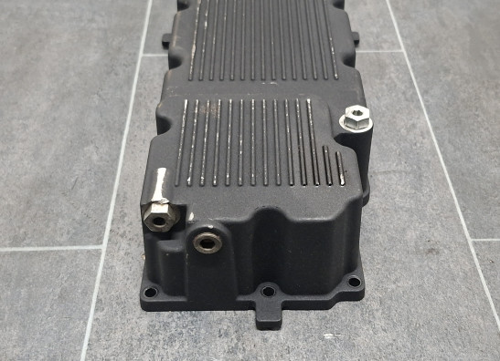 Carterpan Harley Davidson FLHR Road King