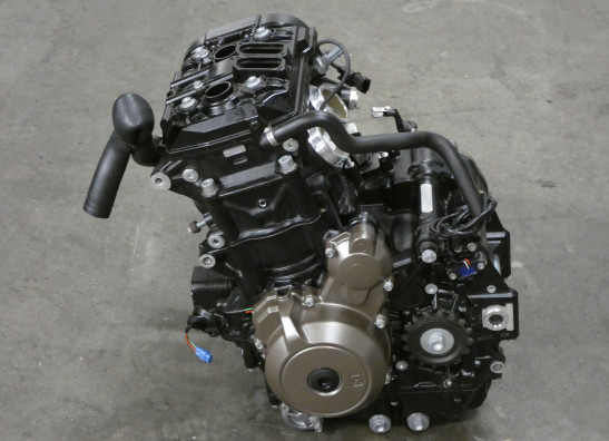 Motorblok Husqvarna 901 Norden 2022-2023