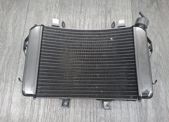 Radiator KTM 690 Duke 
