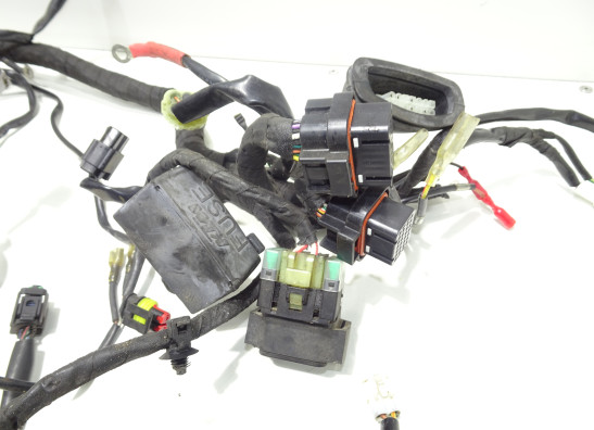 Kabelbaum KTM 1290 Super duke