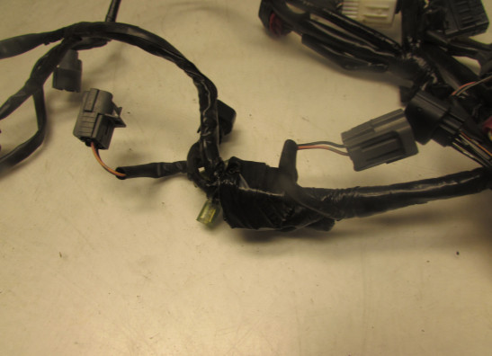 Kabelbaum Honda CB 600 F