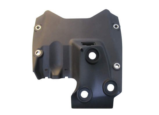 Overig Ducati Panigale V4 R