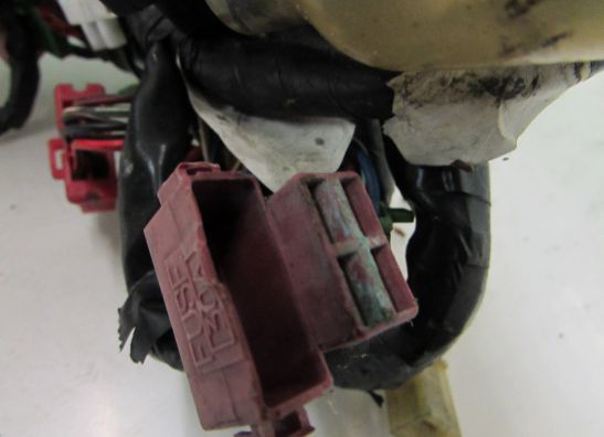 Kabelbaum Honda CBR 600 F