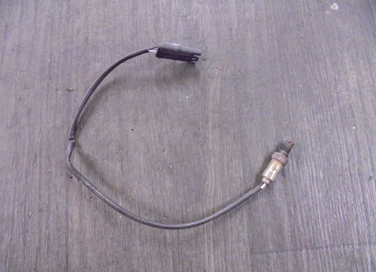 Lambda sensor BMW F 850 GS Adventure