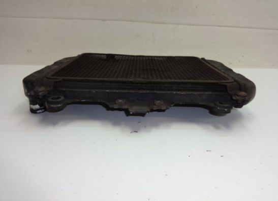 Kuhler Kawasaki GPZ 500