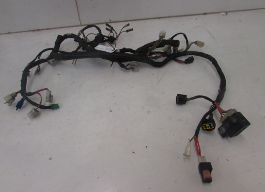 Wire Harness Yamaha XJ 900 S Diversion