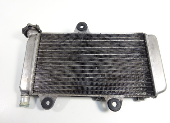 Radiateur Yamaha XTX 660