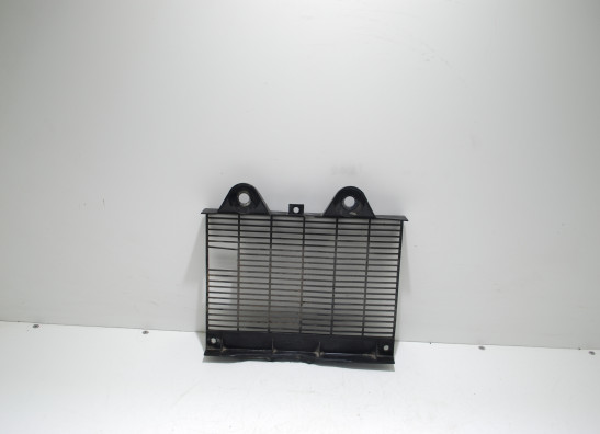 Radiator toebehoren Triumph 900 Daytona