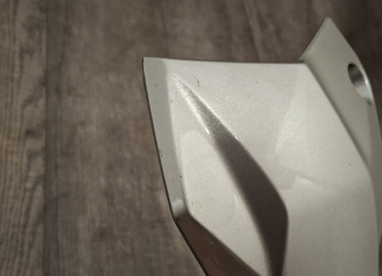 Linker zijkuip klein Kawasaki Z 900