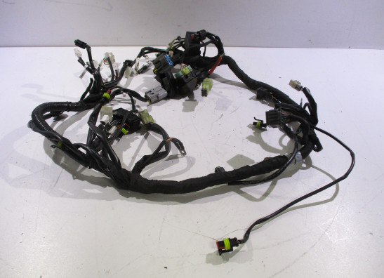 Kabelboom KTM 1290 Super duke