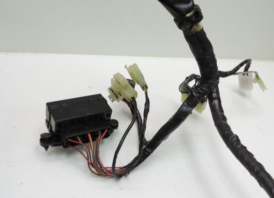 Kabelboom Yamaha FZ 400 FAZER 