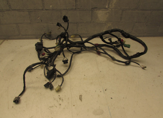 Kabelboom Honda ST 1100 Pan European