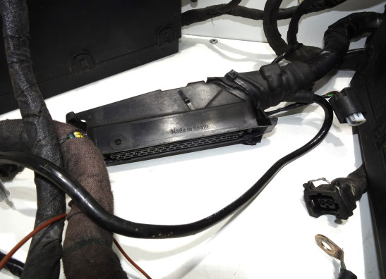 Kabelboom BMW R 1100 S