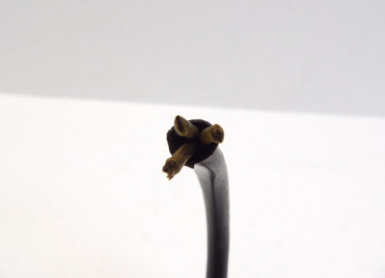 Generator Kawasaki ZEPHYR 550