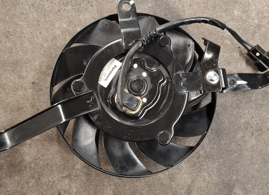 Ventilator Triumph Speed triple RS