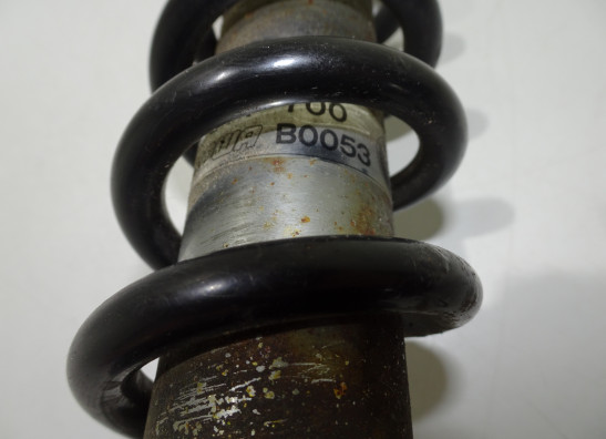 Stossdämpfer vorne BMW R 850 R