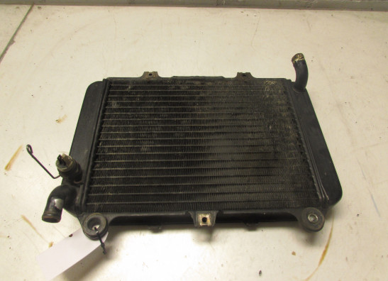 Kuhler Kawasaki GPX 600