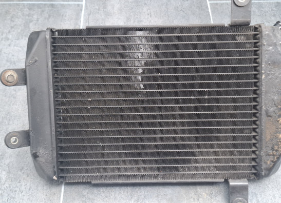 Radiator Suzuki Burgman 400
