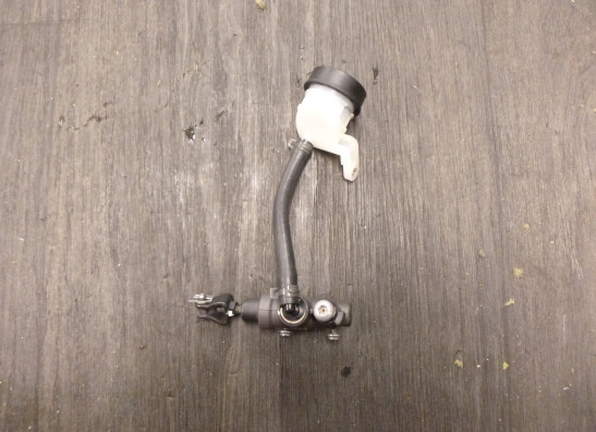 Rempomp achter BMW R 1250 R 2019-2020