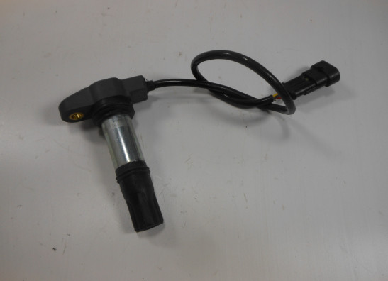 Bobine Aprilia Dorsoduro 1200