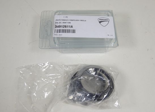 Voorpoot binnen Ducati monster 696