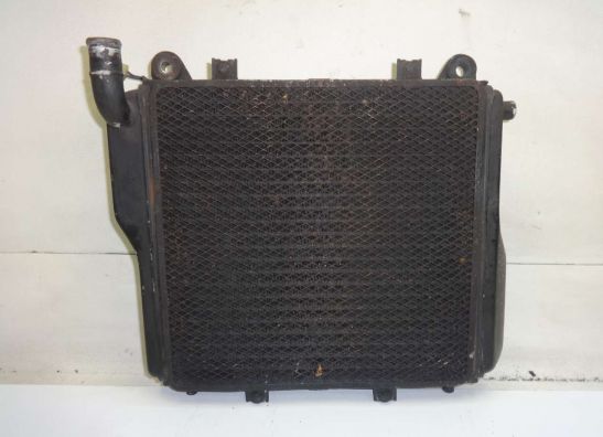 Radiator Kawasaki GPZ 1000