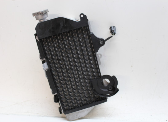 Radiateur Honda CRF 1100L Africa Twin Adventure Sports ES