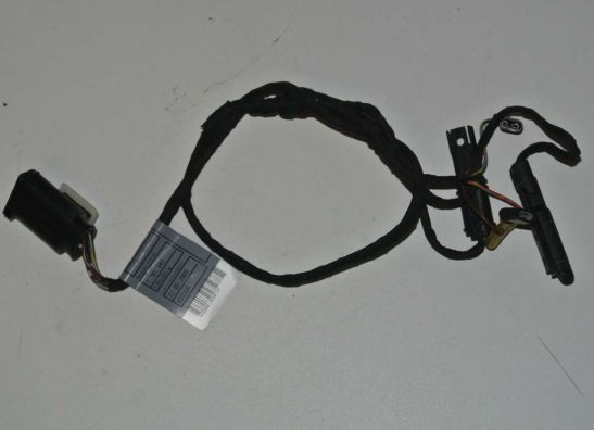 Wire Harness BMW F 800 R