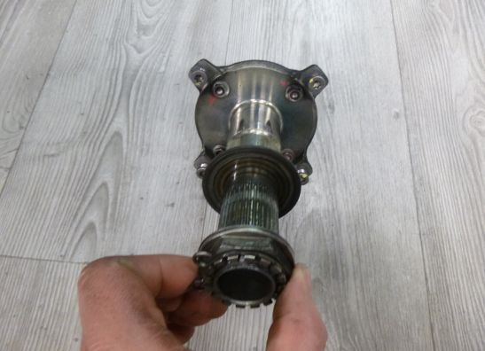 Achteras Ducati monster 1100