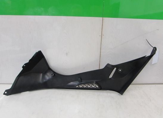 Tankschutz BMW S 1000 RR