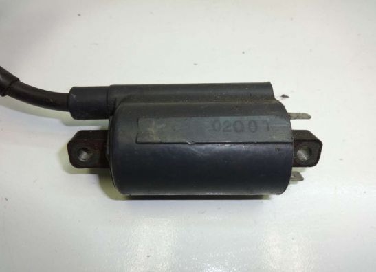 Bobine Suzuki VX 800