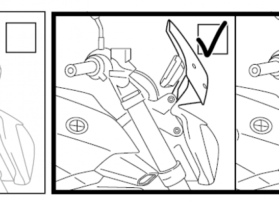 Kuipruit BMW R 1200 R