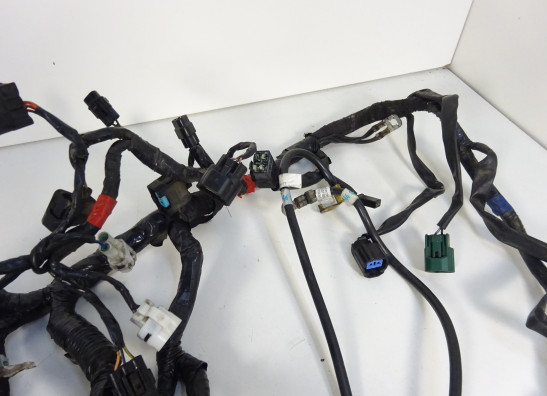 Kabelboom Triumph Street Triple 675