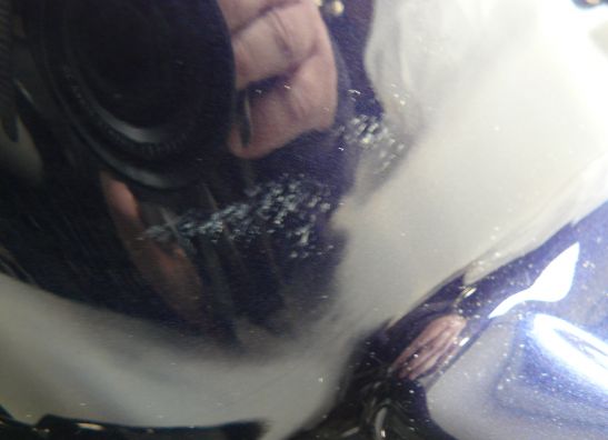 Hinterradabdeckung Honda CBR 600 RR