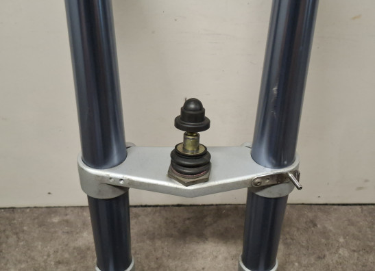 Voorpoten compleet BMW R 1100 S