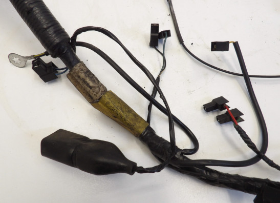 Kabelboom Triumph Thunderbird 900