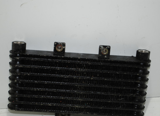 Olkuhler Triumph 595 T Daytona