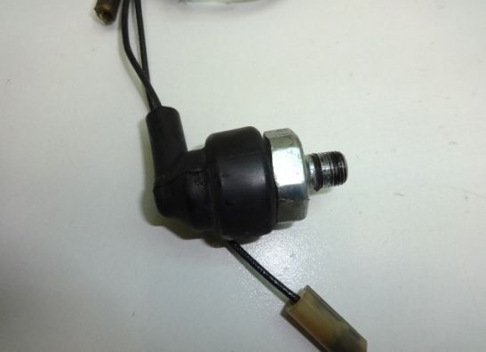 Motorblok diverse Honda CBR 1100 XX