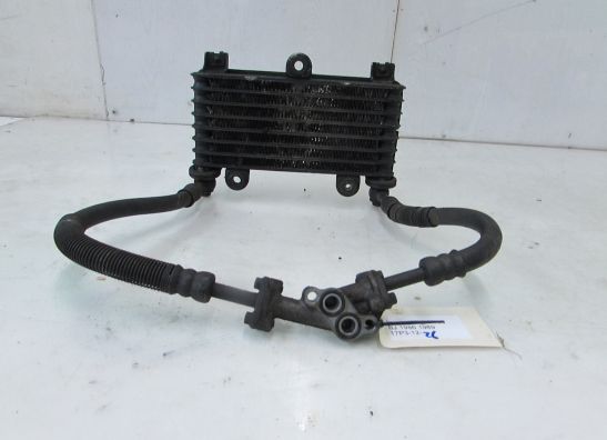 Olkuhler Kawasaki GPX 750