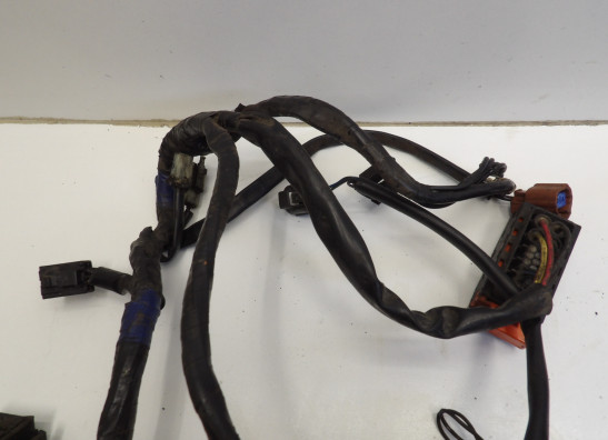 Kabelboom Triumph Sprint ST 1050